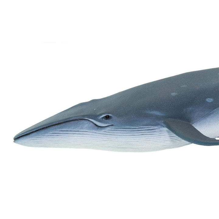 Figurine - Baleine Sei