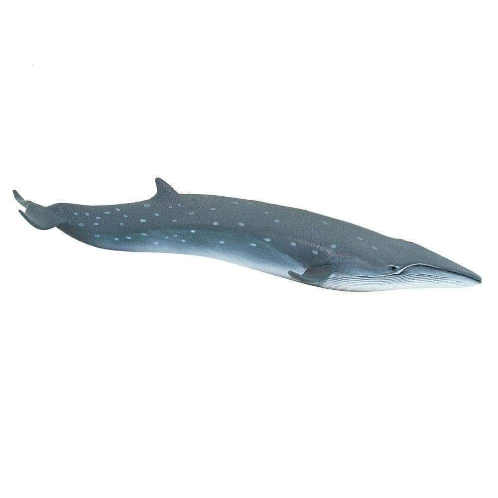 Figurine - Baleine Sei