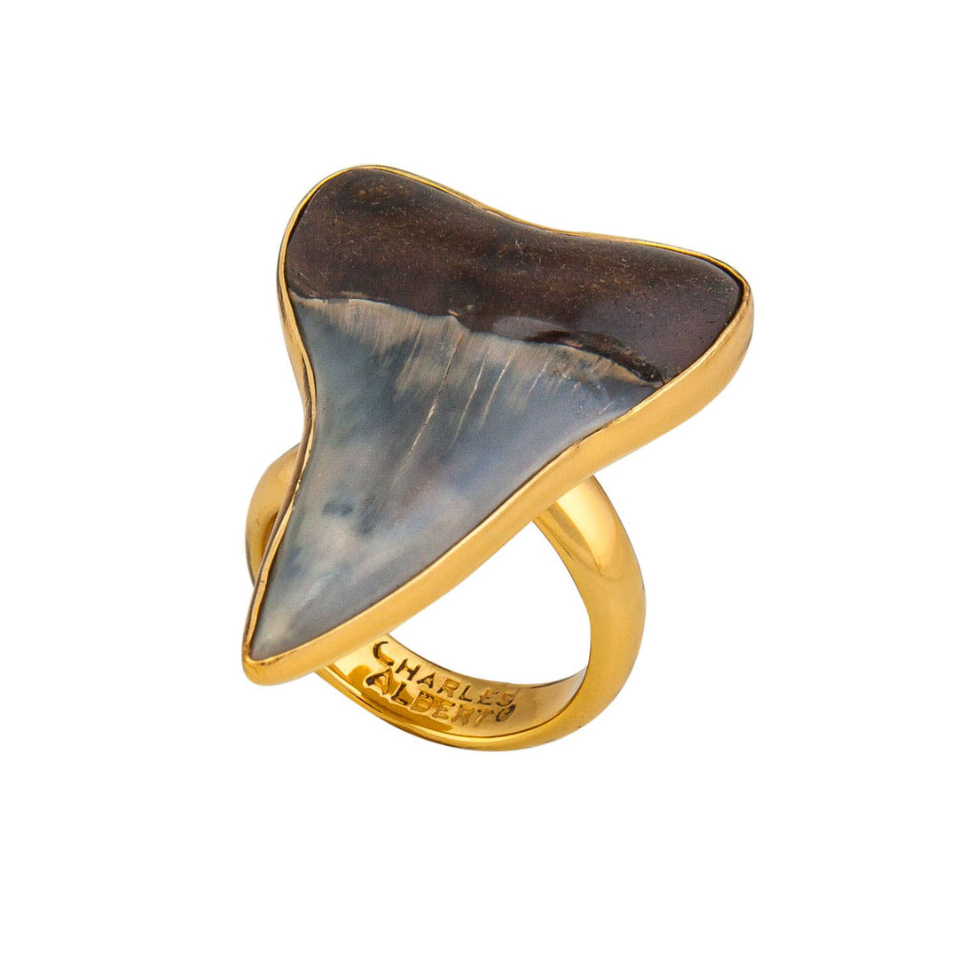 Sharks Jewellery