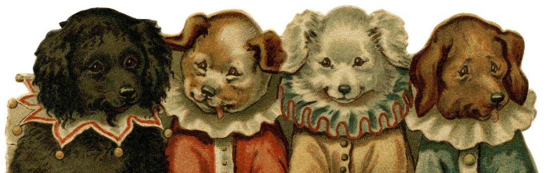 Pets