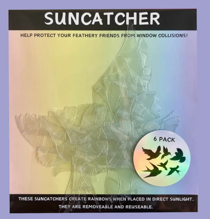 Butterfly Shape Suncatcher Pack