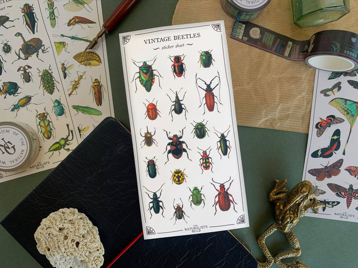 Vintage Beetles Sticker Sheet