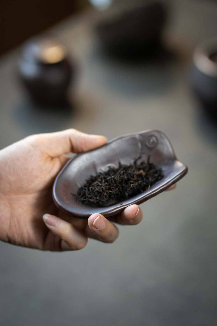 Ceramic Gongfu Tea Turtle Shell Tea Scoop