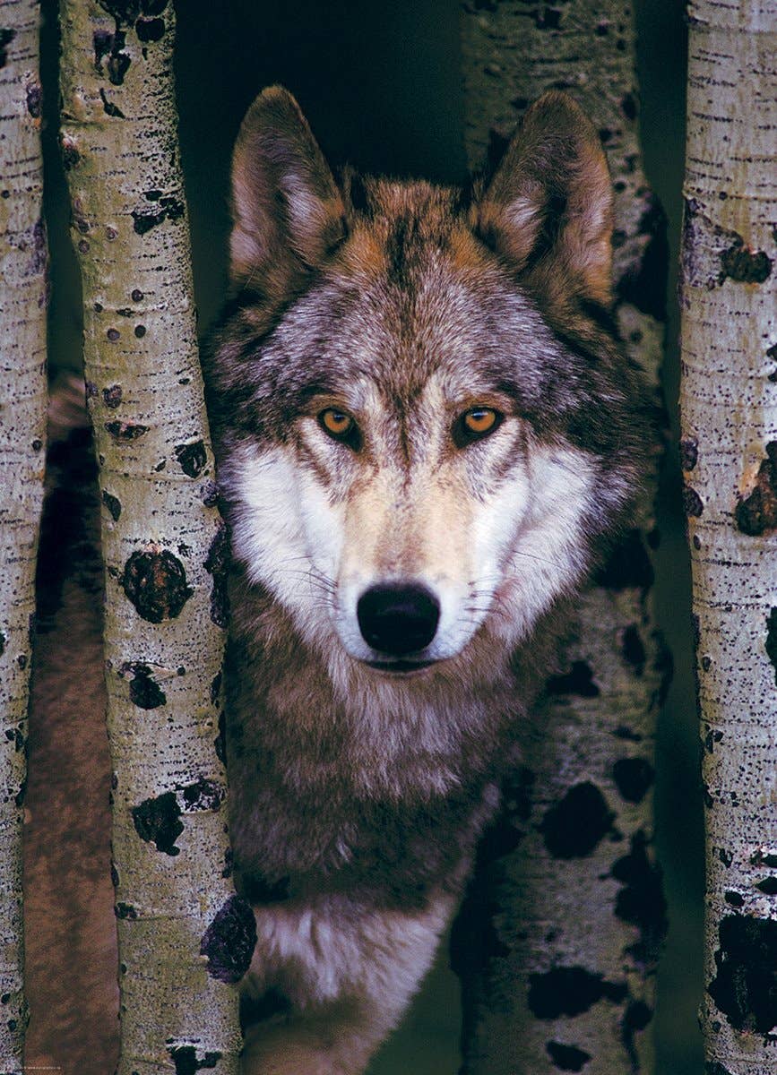 Gray Wolf Puzzle