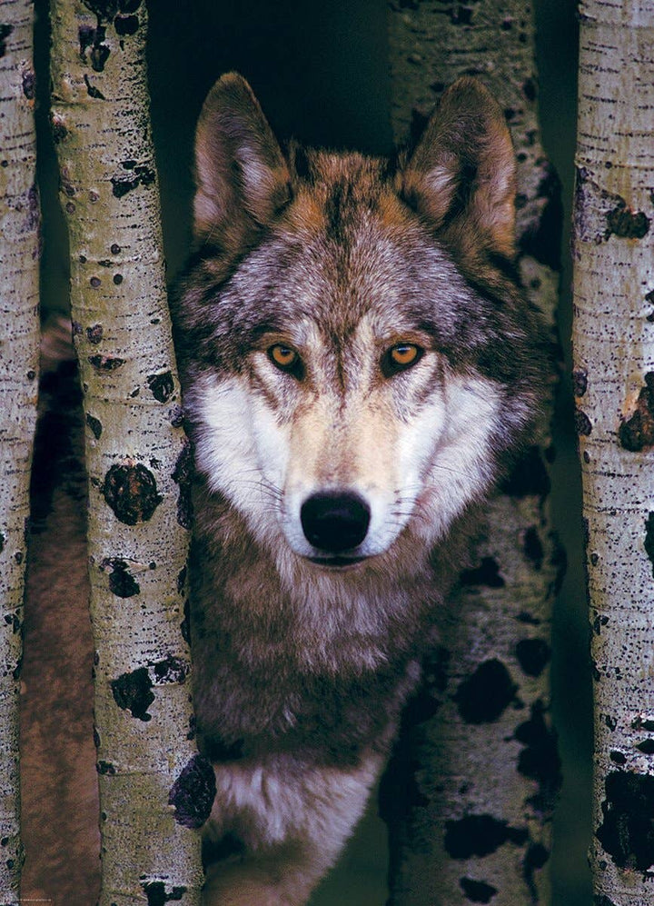 Gray Wolf Puzzle