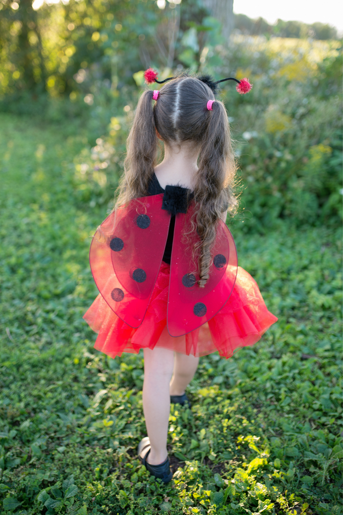 Ensemble de 3 coccinelles