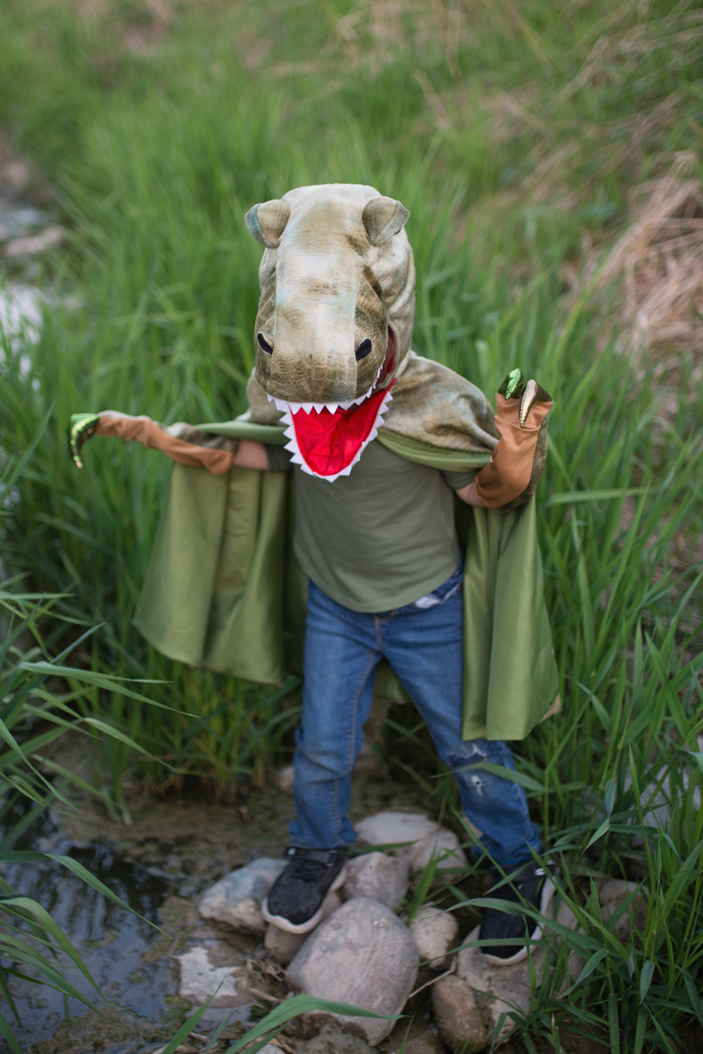 Grandasaurus T-Rex Dinosaur Cape with Claws 4-6