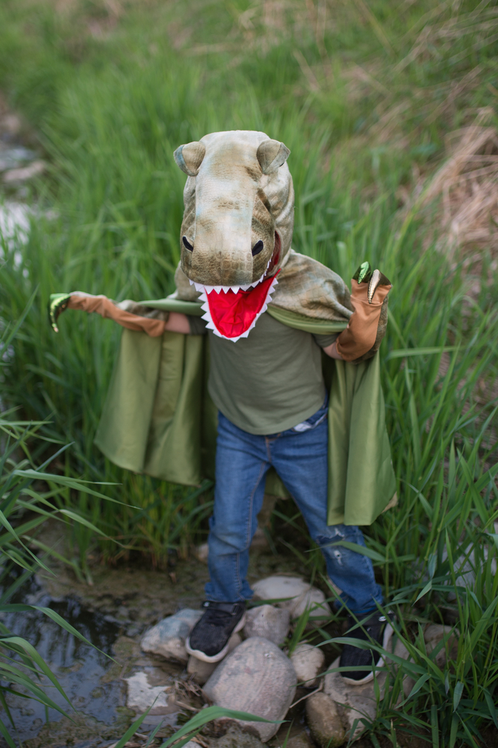 Grandasaurus T-Rex Dinosaur Cape with Claws 4-6