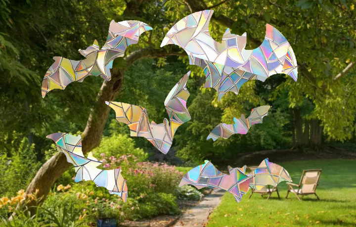 Bat Shape Suncatcher Pack
