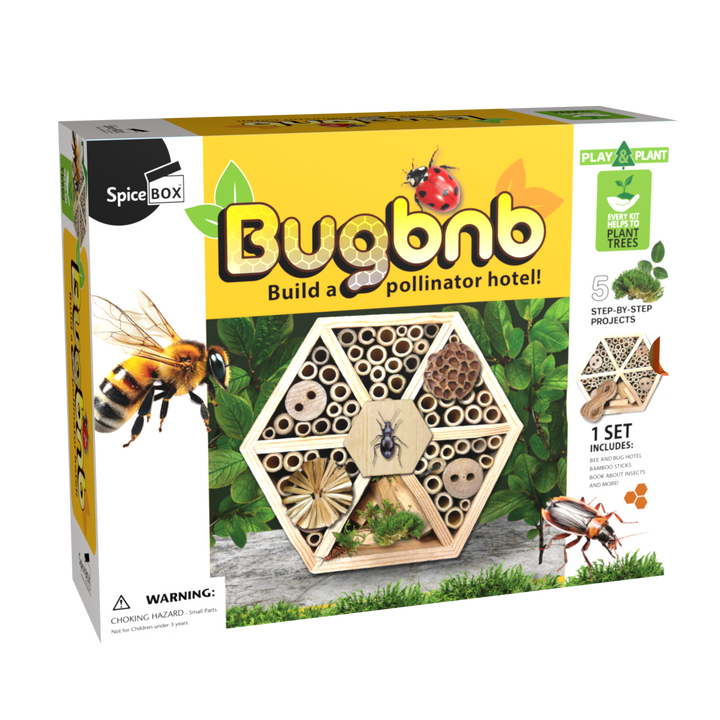 Play & Plant Bug BNB