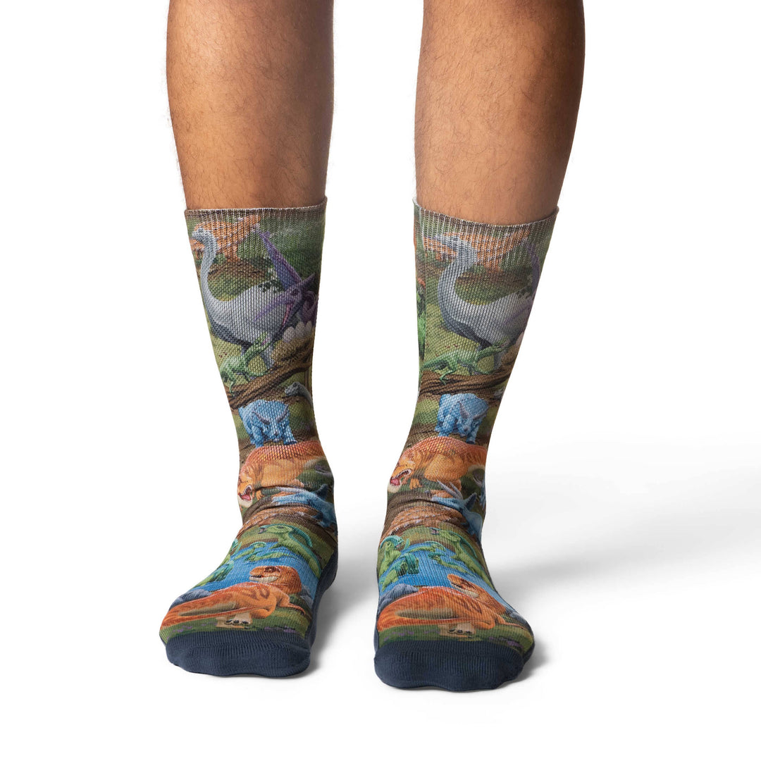 Men's Dinosaur World Socks 8-13