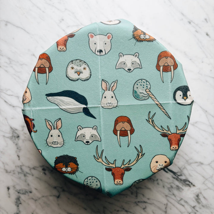 Vegan Food Wraps starter pack of 3,  Arctic Animals