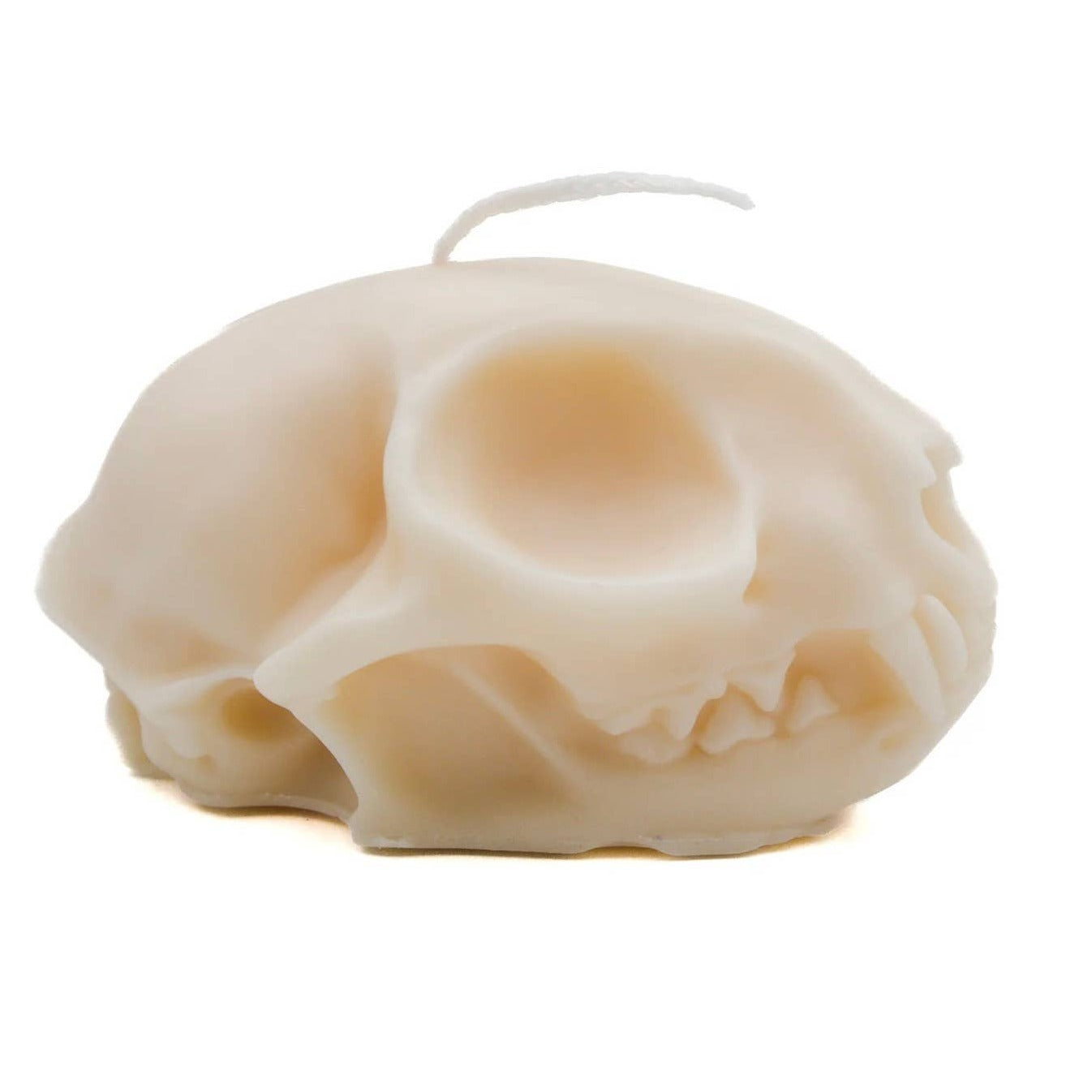 Cat Skull Candle