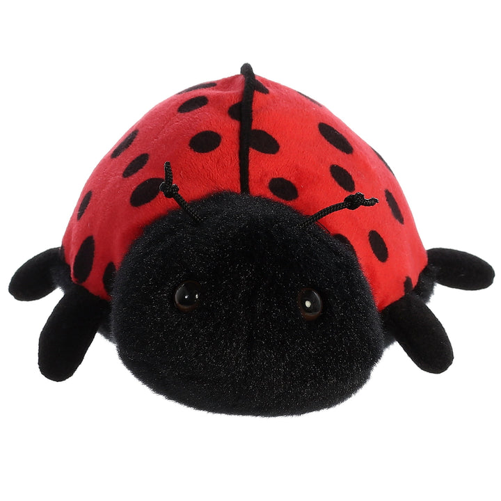 Ladybug-Ladybird