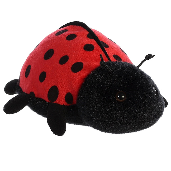 Ladybug-Ladybird