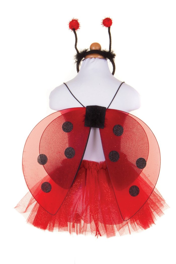Ensemble de 3 coccinelles
