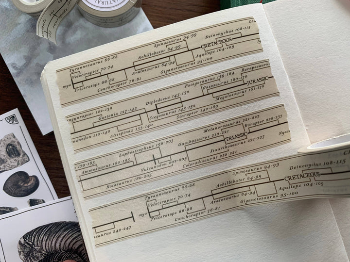 Dinosaur Timeline Washi Tape