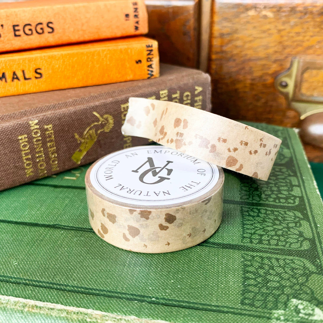 Dinosaur Footprints Washi Tape