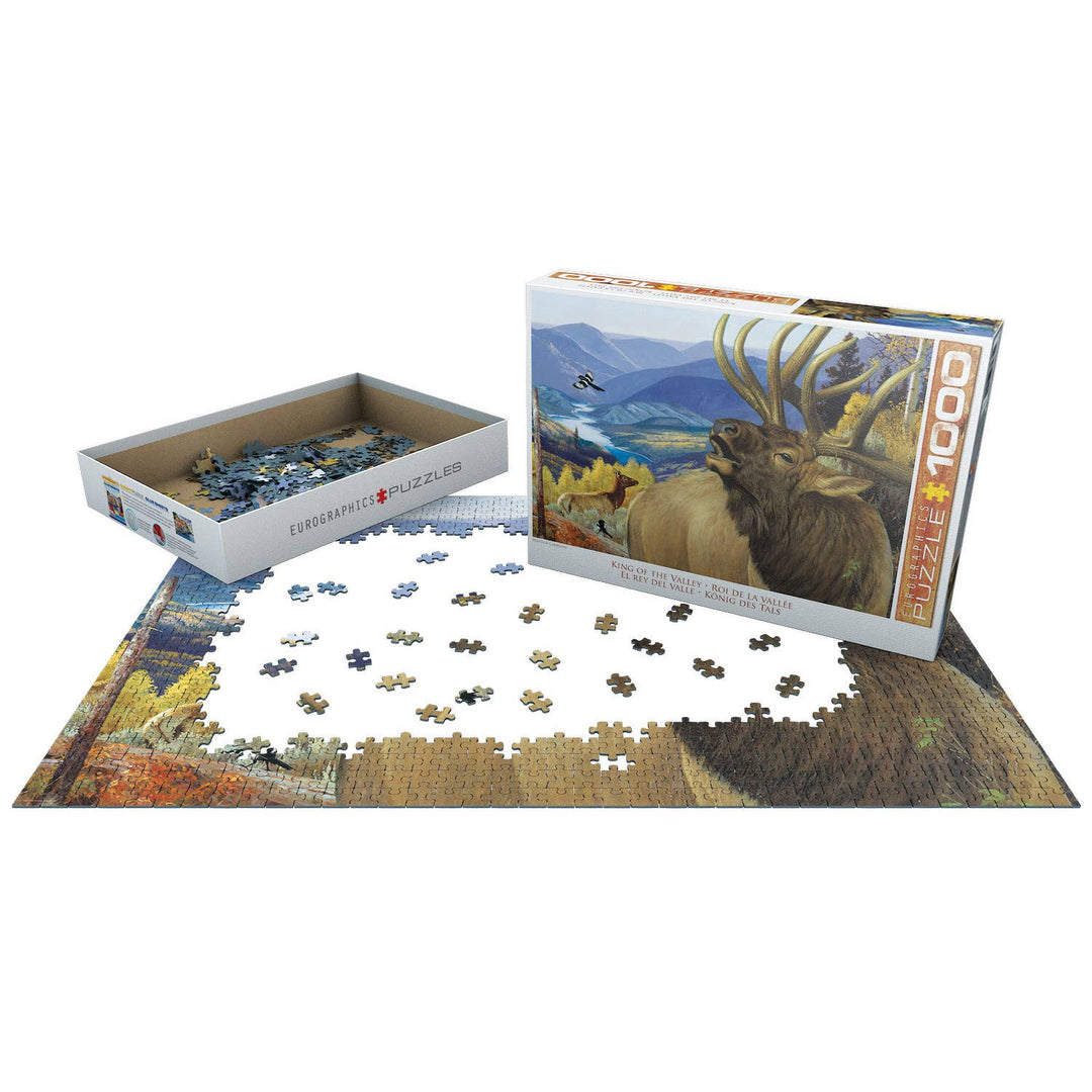 King of the Valley Puzzle