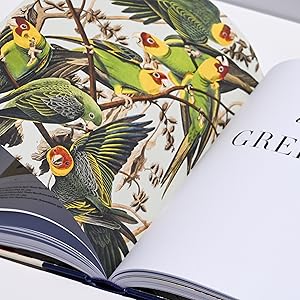Nature's Palette: A Color Reference System from the Natural World