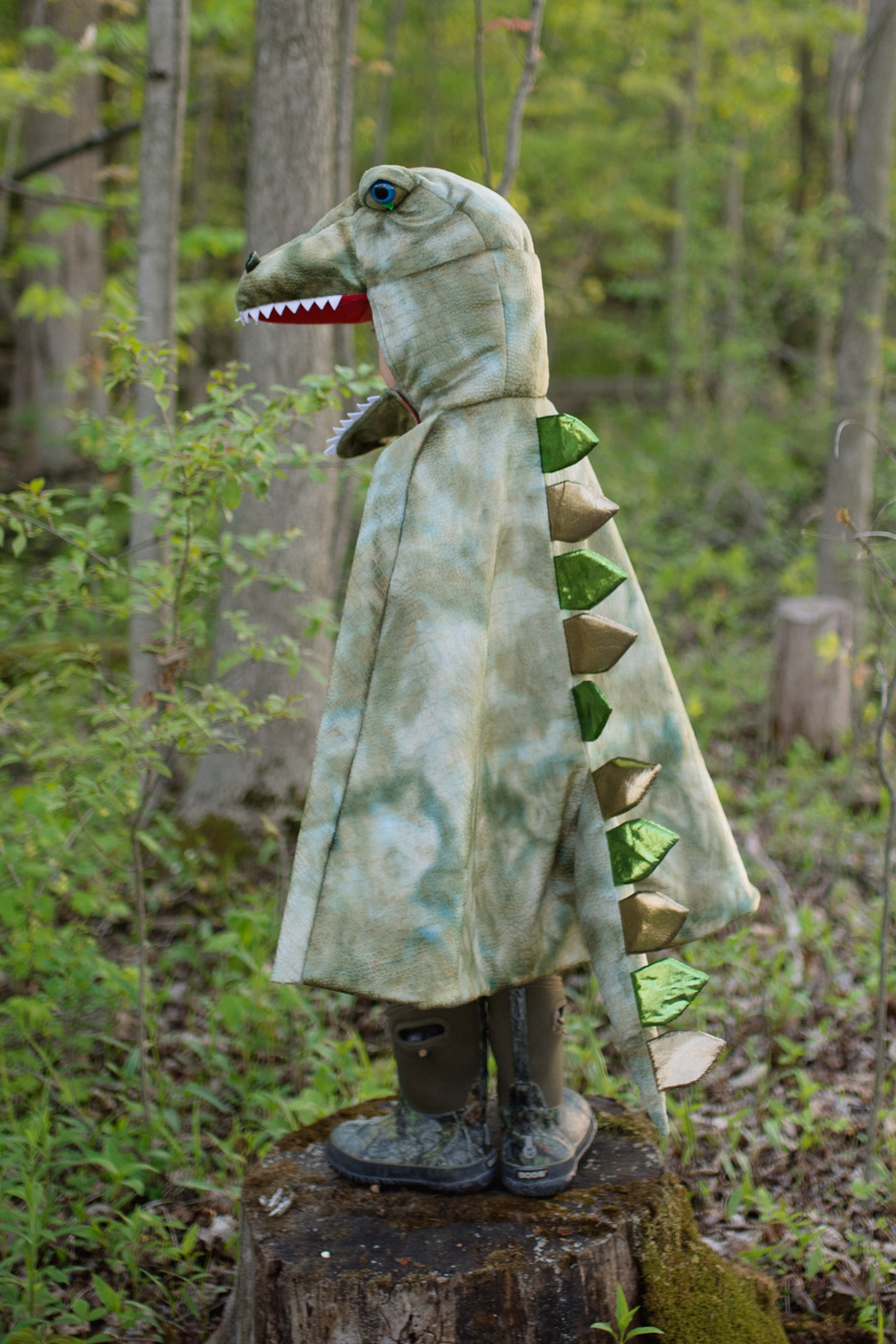 Grandasaurus T-Rex Dinosaur Cape with Claws 4-6