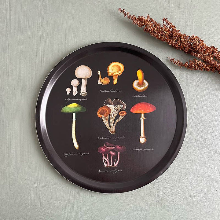 Mushroom tray - birch veneer