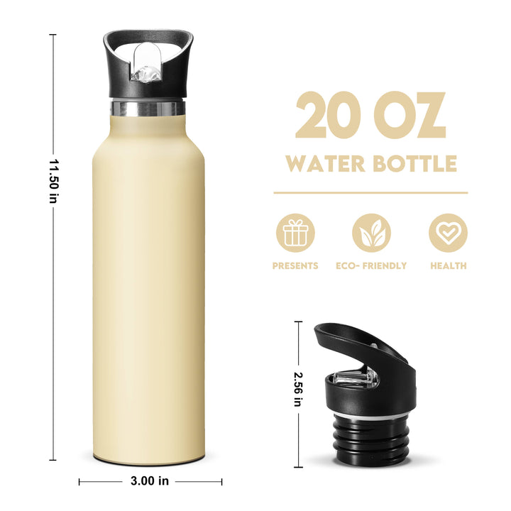 25oz Navy Blue Shark Insulated Stainless Steel Water Bottle with Straw