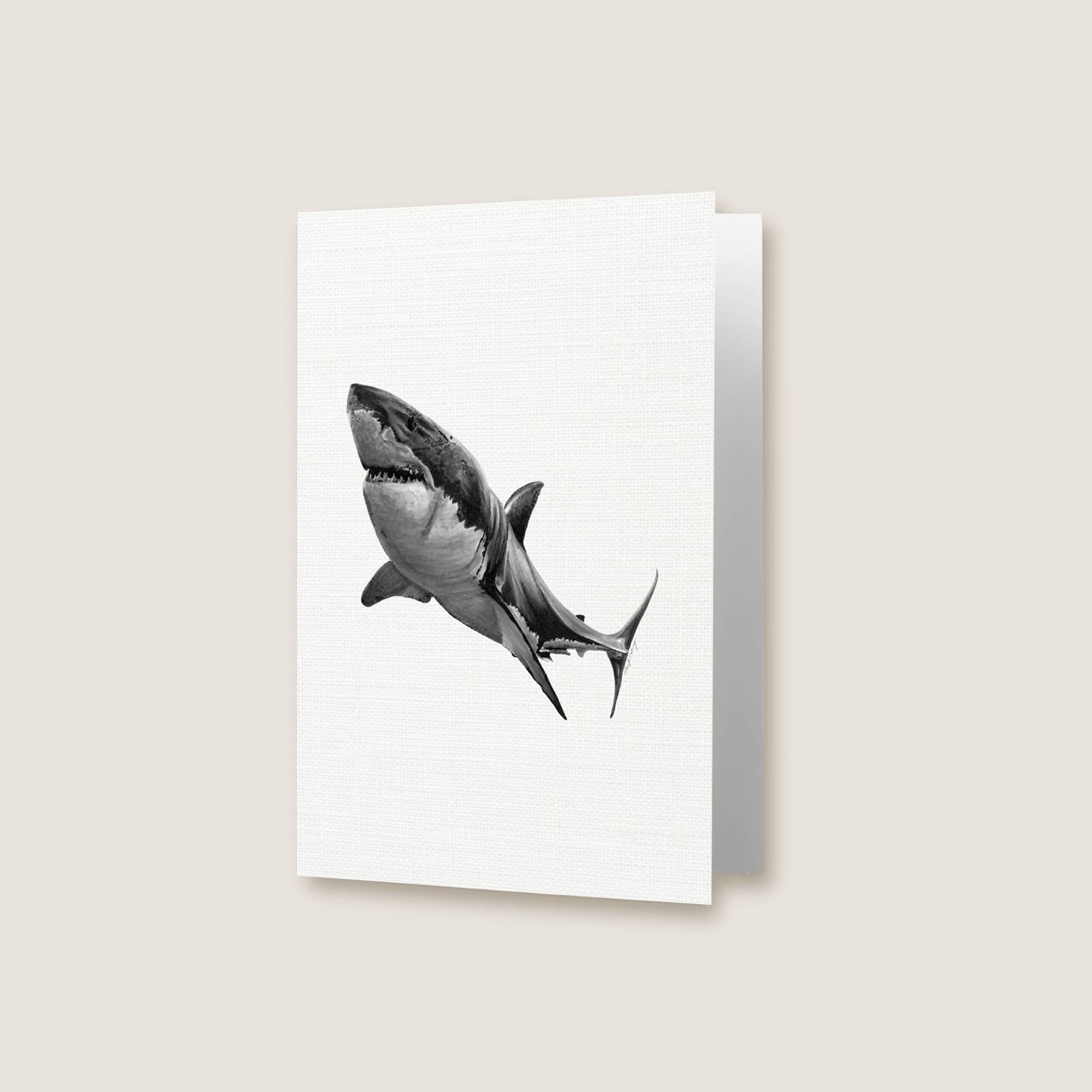 Shark Greeting Card – ROM Boutique