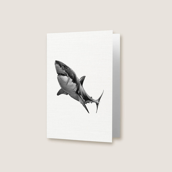 Shark Greeting Card