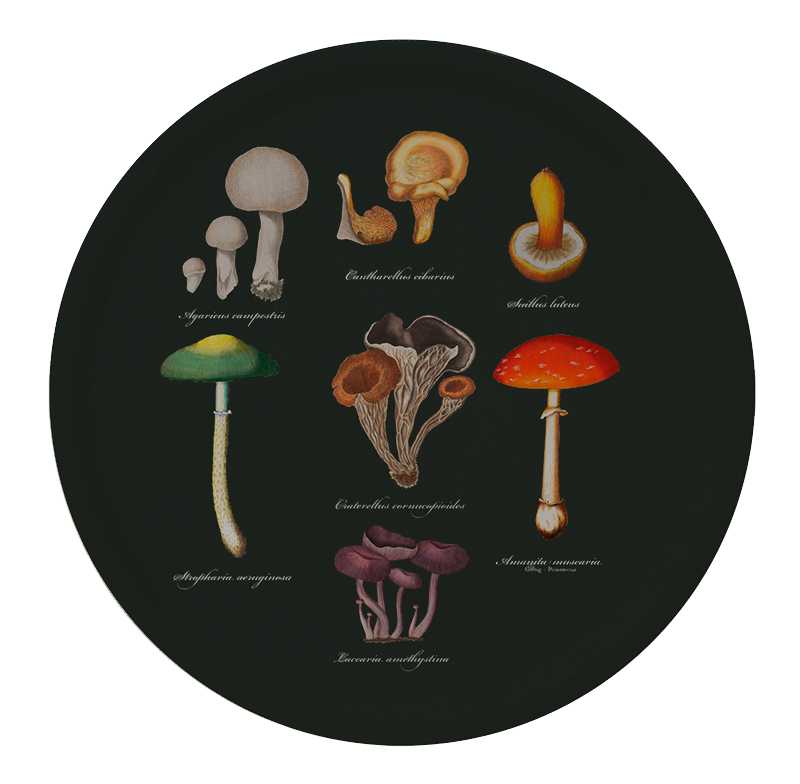 Mushroom tray - birch veneer