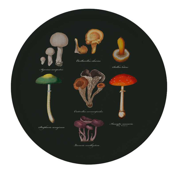 Mushroom tray - birch veneer
