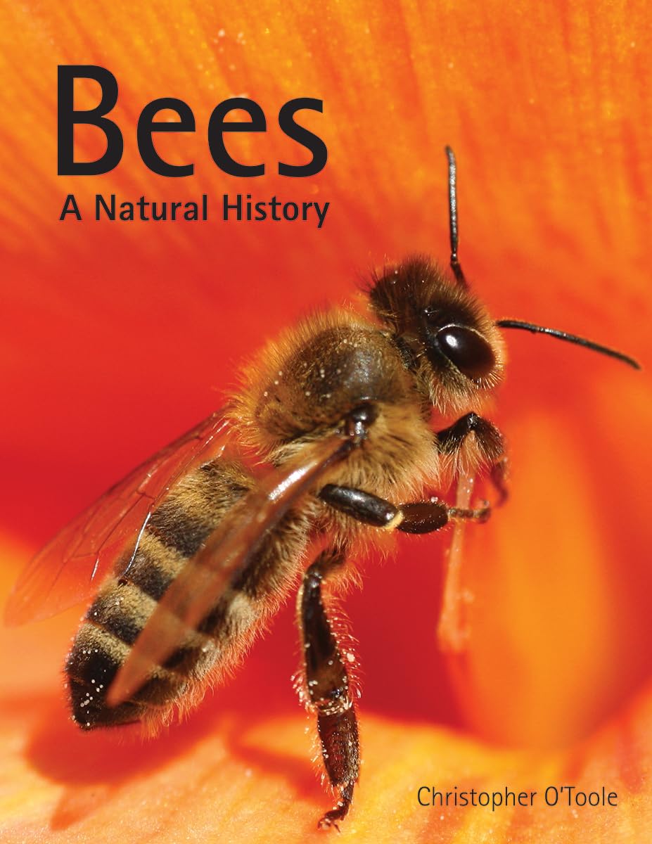 Bees: A Natural History – ROM Boutique