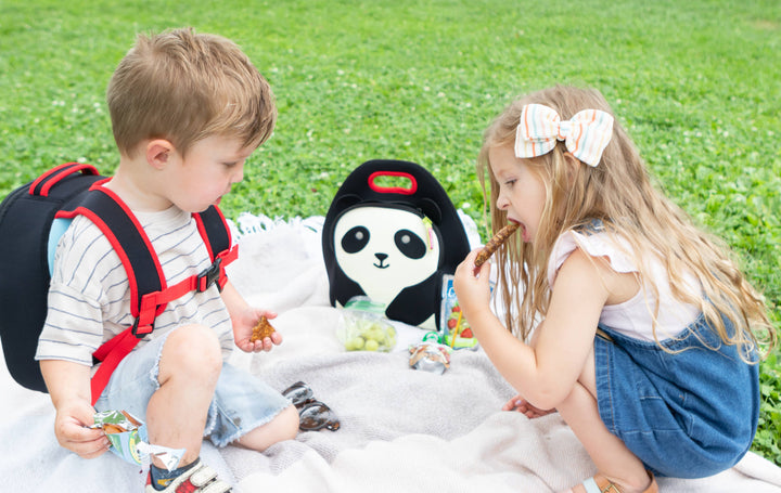 DabbaWalla Machine Washable Insulated Lunch Bag, Panda