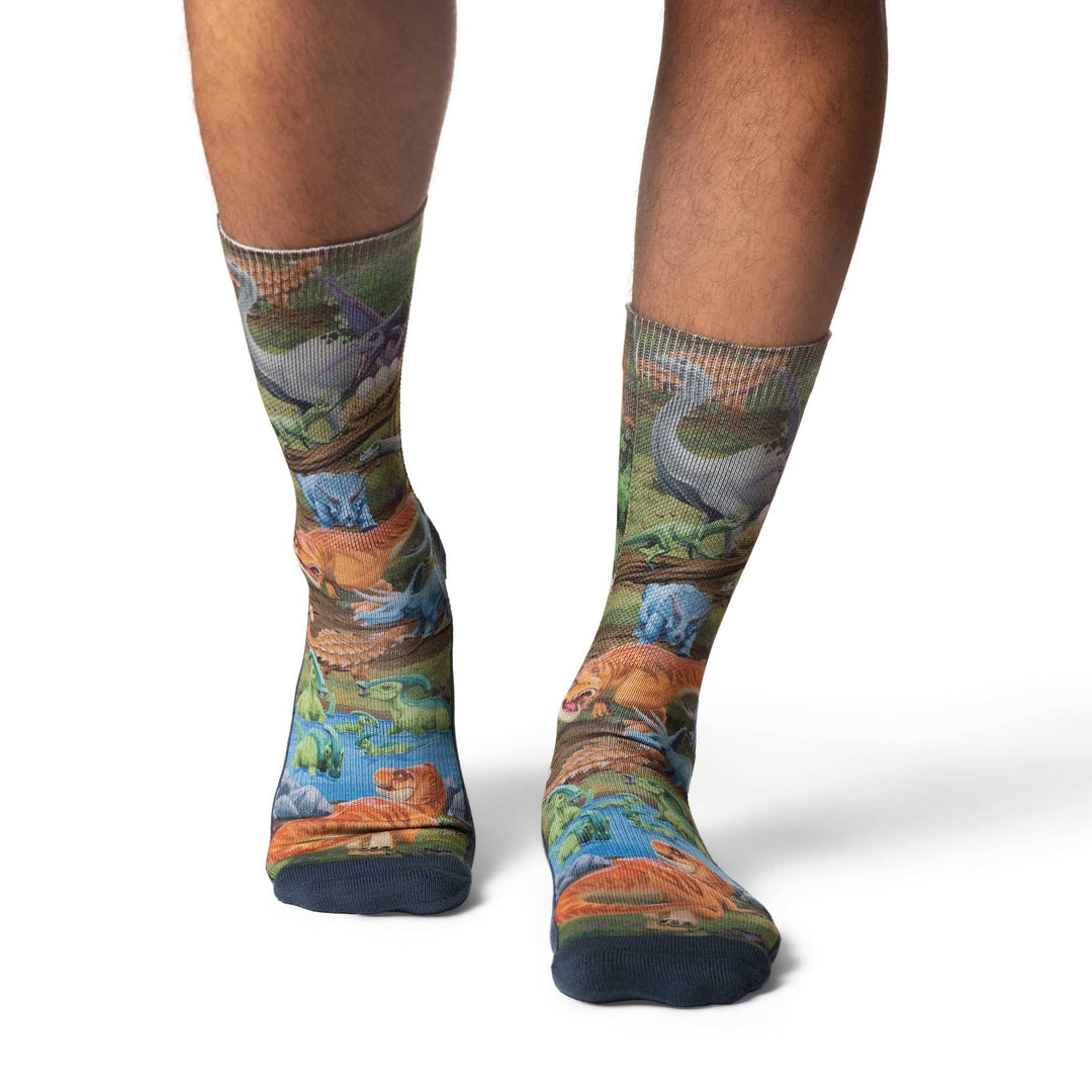 Men's Dinosaur World Socks 8-13