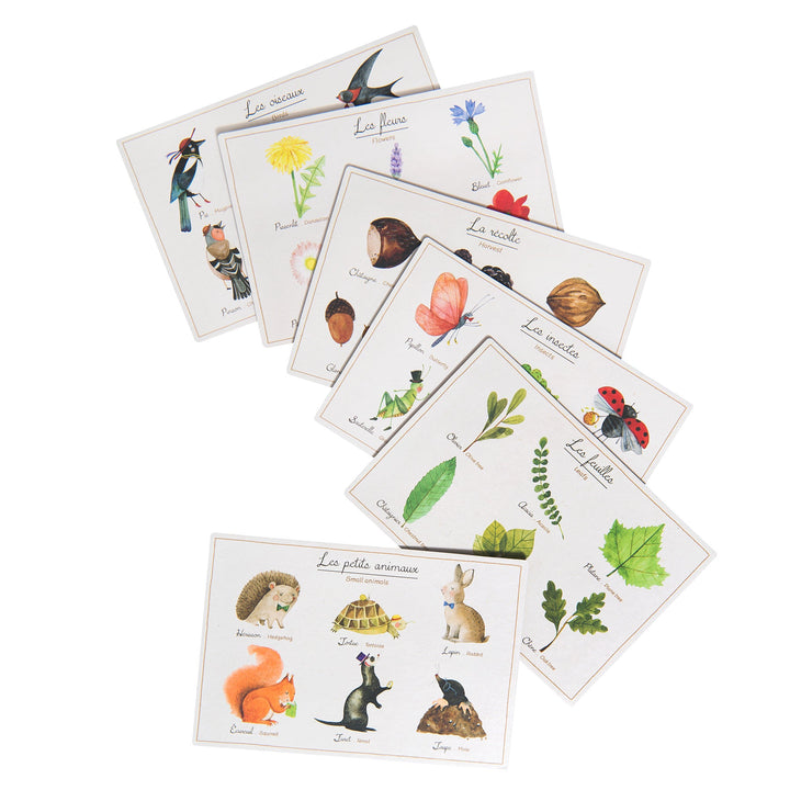 Nature Lotto Card Board Game/Le loto de la nature