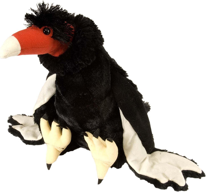 Turkey Vulture