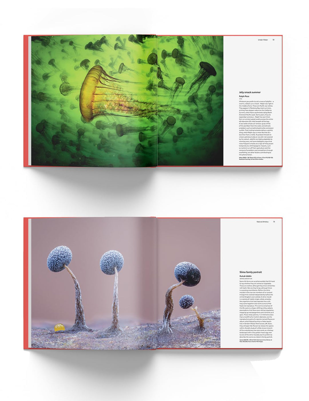 Wildlife Photographer of the Year: Portfolio 35