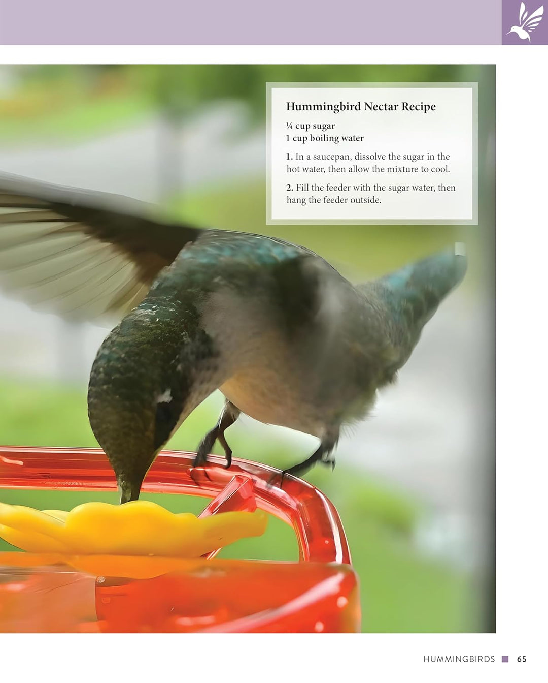 Cultivating Native Plants for Pollinators: A Comprehensive Guide to Attracting Birds, Bees and Butterflies