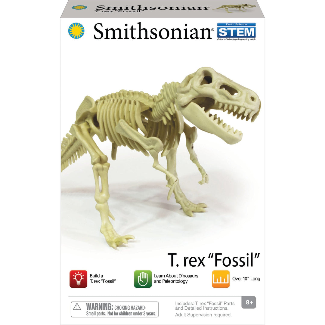 Smithsonian Dinosaur Fossils T-rex