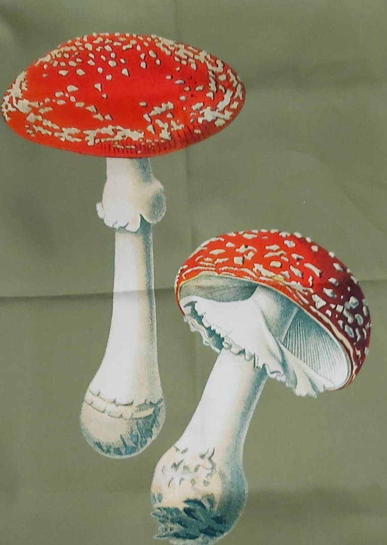 Amanita Muscaria Olive Tea Towel Antique Illustration
