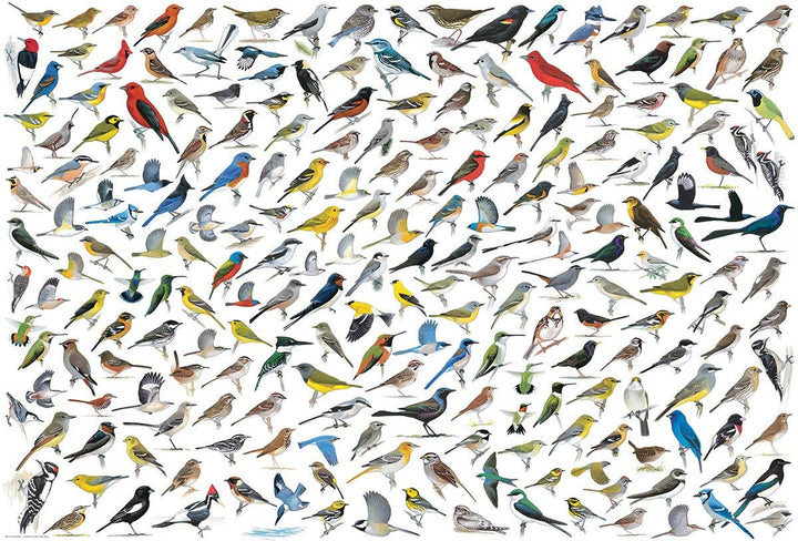 The World of Birds Puzzle