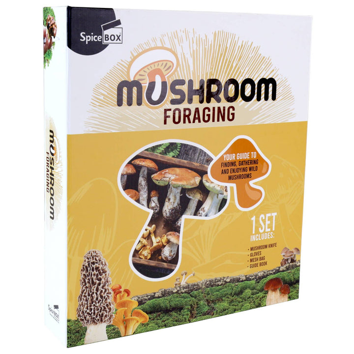 Gift Box Mushroom Foraging