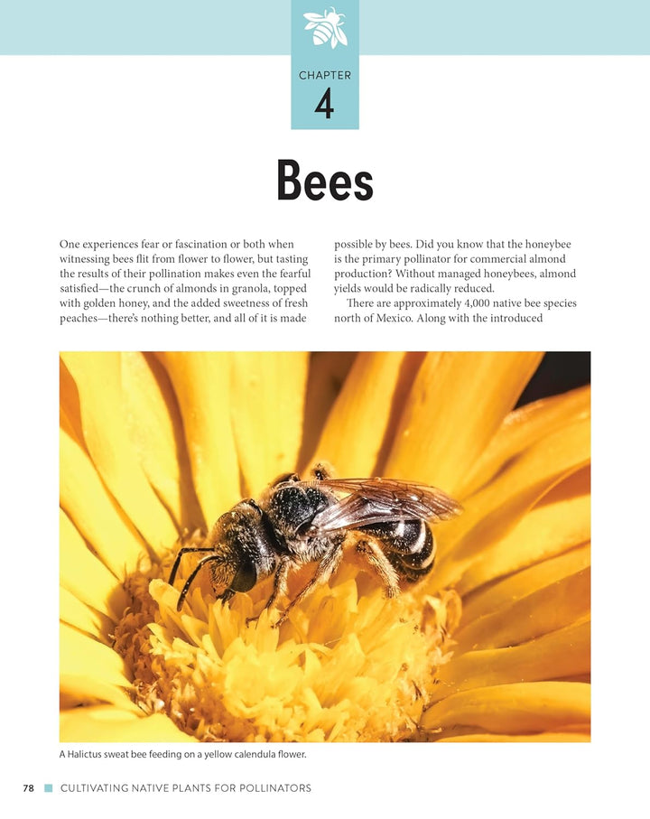 Cultivating Native Plants for Pollinators: A Comprehensive Guide to Attracting Birds, Bees and Butterflies
