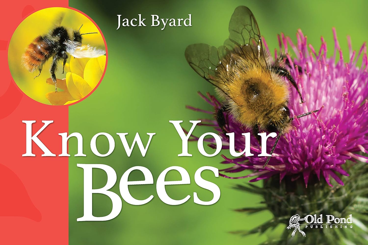 Know Your Bees – ROM Boutique