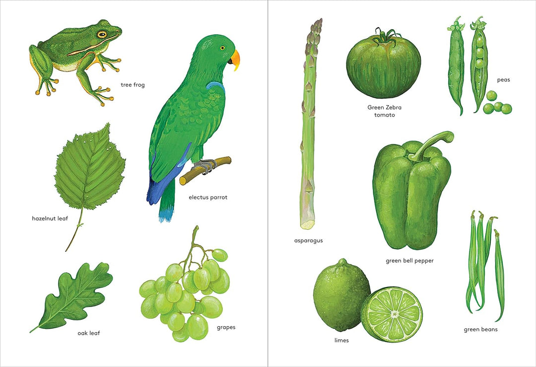 Orange Is an Apricot, Green Is a Tree Frog: Explore the Natural World Through Color