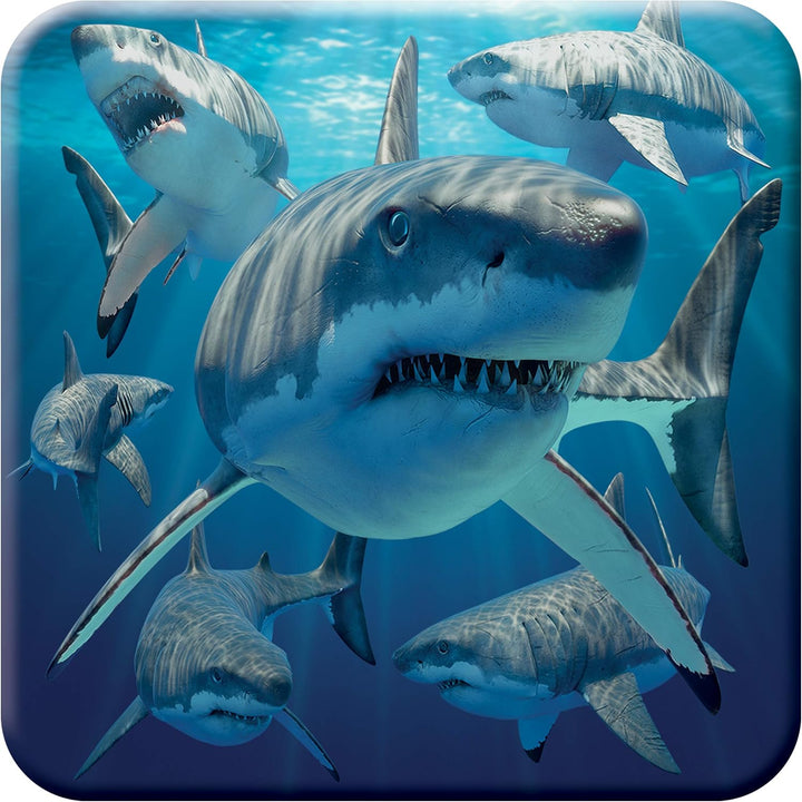 3D LiveLife Coasters - Great White Sharks