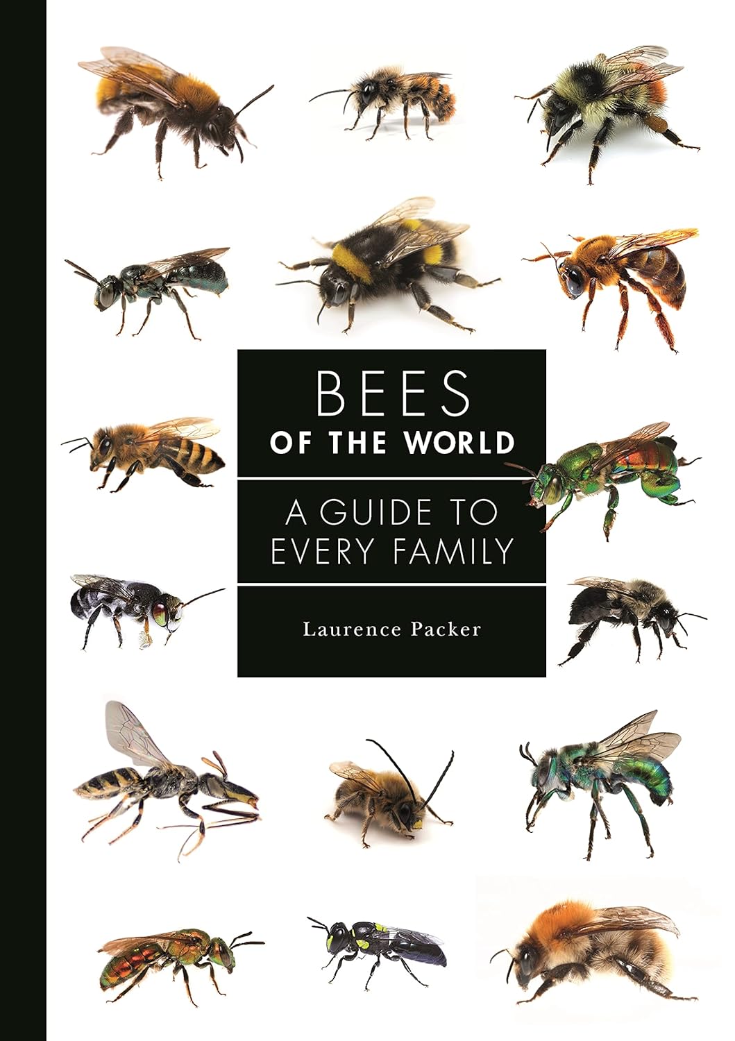 Bees of the World: A Guide to Every Family – ROM Boutique