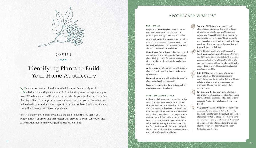 Held by the Land: A Guide to Indigenous Plants for Wellness