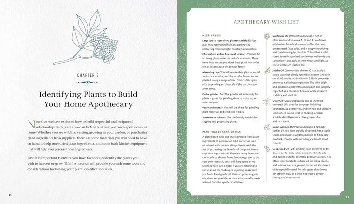 Held by the Land: A Guide to Indigenous Plants for Wellness