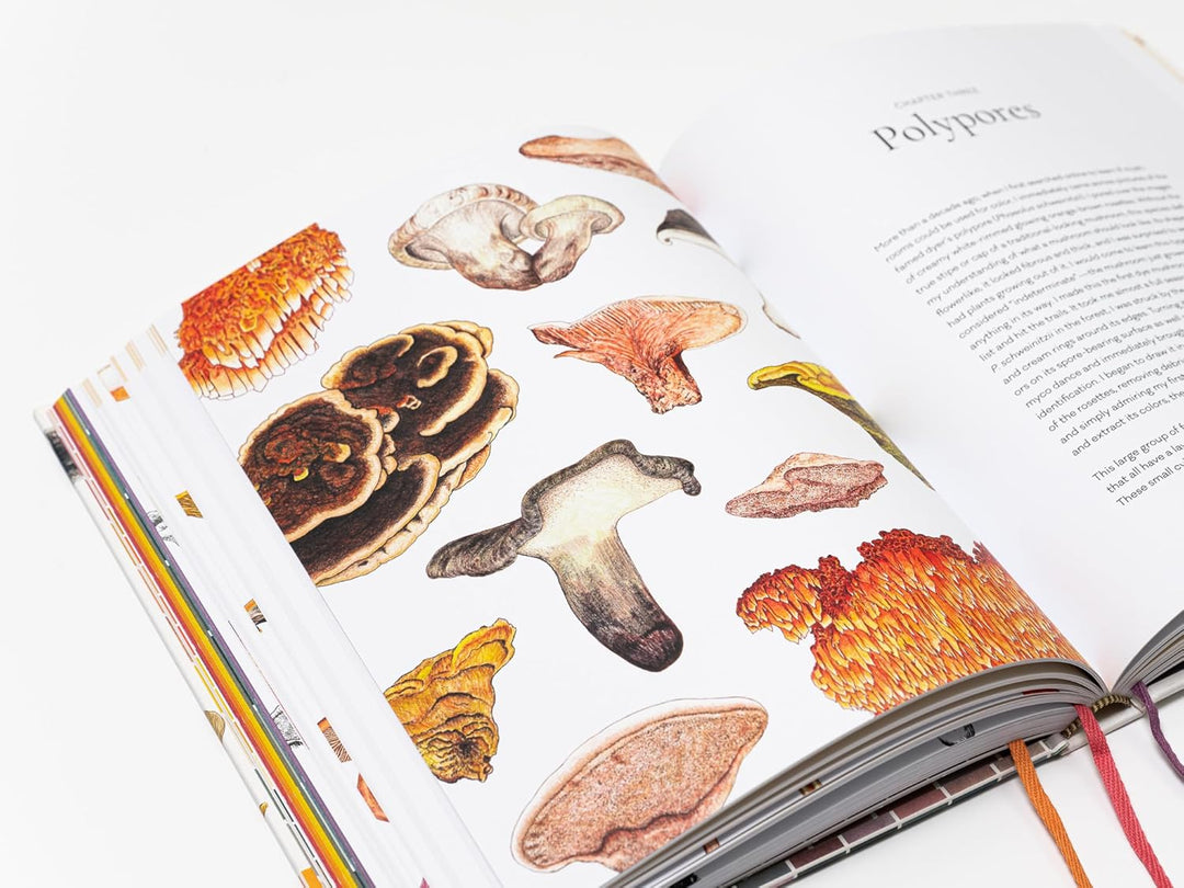 The Mushroom Color Atlas: A Guide to Dyes and Pigments Made from Fungi